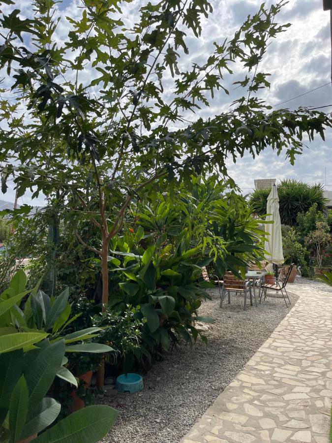 House Of Sunset 2 Sivas Appartement Buitenkant foto